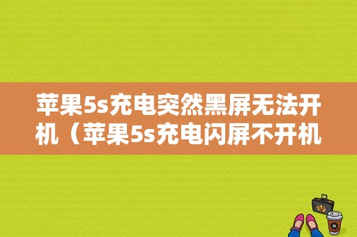 苹果5s充电突然黑屏无法开机（苹果5s充电闪屏不开机的原因）