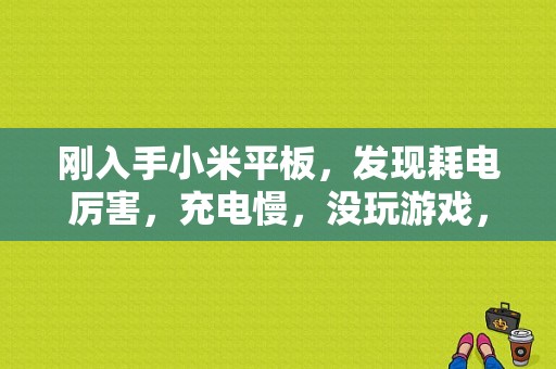 刚入手小米平板，发现耗电厉害，充电慢，没玩游戏，只看看书，百分之六十的电只能看五小时书，失望？小米平板 看书