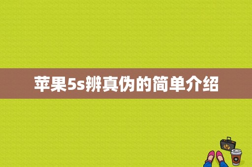 苹果5s辨真伪的简单介绍