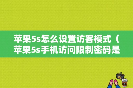 苹果5s怎么设置访客模式（苹果5s手机访问限制密码是多少）