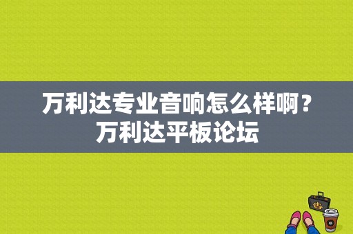 万利达专业音响怎么样啊？万利达平板论坛-图1