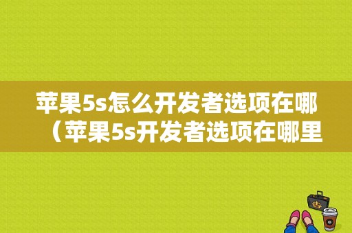 苹果5s怎么开发者选项在哪（苹果5s开发者选项在哪里）