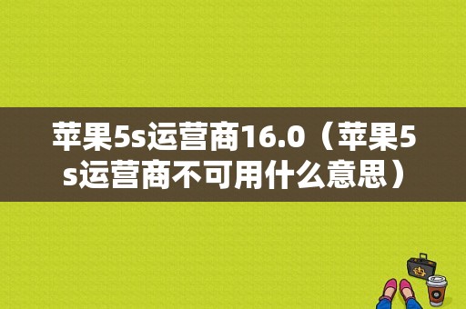 苹果5s运营商16.0（苹果5s运营商不可用什么意思）