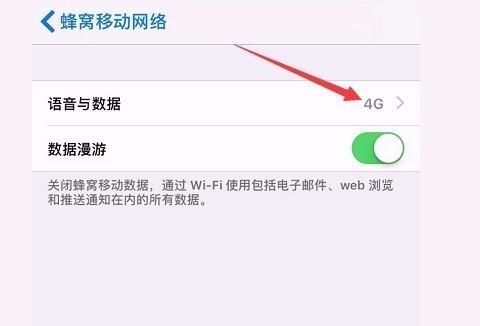 苹果5s的网络（苹果5s网络怎么设置4g）-图1