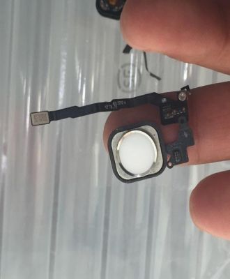 5shome键坏了怎么办(5s home键坏了)-图2 5shome键坏了怎么办(5s home键坏了)-图2