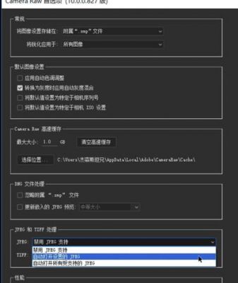 怎么把camera批量（怎么批量camera raw）-图1