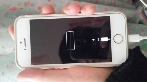 苹果5s故障大全(苹果5s46011怎么解决)-图2 苹果5s故障大全(苹果5s46011怎么解决)-图2