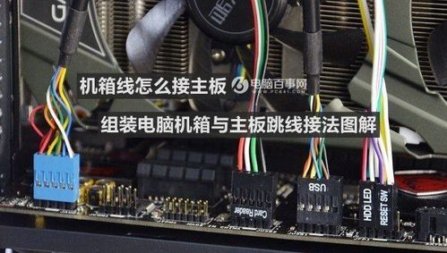dell笔记本主板短接启动的方法(dell主板开机接线图解)-图2 dell笔记本主板短接启动的方法(dell主板开机接线图解)-图2