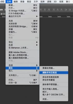 psn批量删除(ps怎么样批量删除历史记录)-图3 psn批量删除(ps怎么样批量删除历史记录)-图3