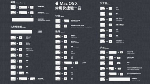 mac界面放大快捷键（mac放大桌面）