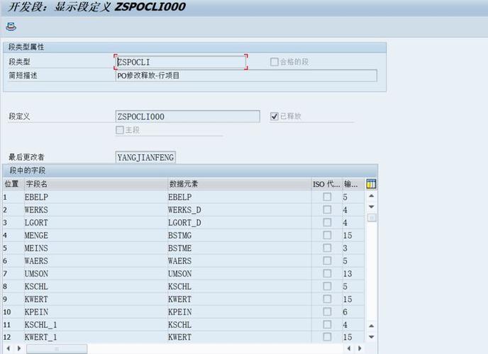 spm批量处理segment（sap批量处理工具）