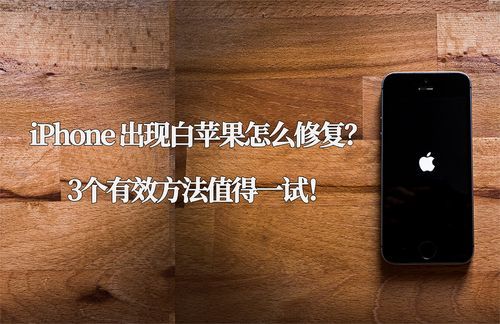 苹果5s白苹果修复(iphone5白苹果怎么修复)-图3 苹果5s白苹果修复(iphone5白苹果怎么修复)-图3