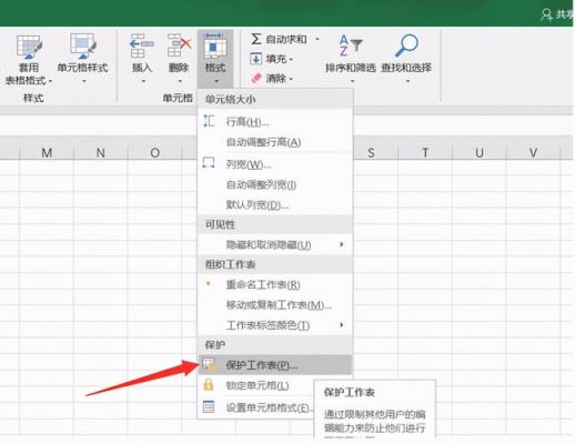 表格密码快捷键(表格密码怎么打开)-图2 表格密码快捷键(表格密码怎么打开)-图2