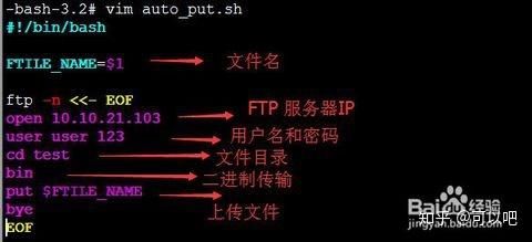 sftp远程批量下载（ftp远程下载文件）