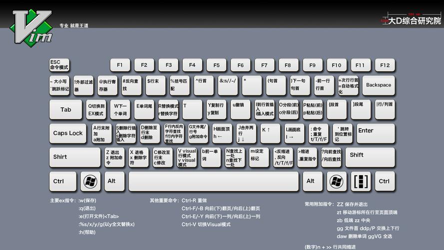 vim常用快捷键大全(vim快速入门)-图3 vim常用快捷键大全(vim快速入门)-图3