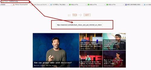 ted批量下载吗(ted下载的视频在哪个文件夹)-图1 ted批量下载吗(ted下载的视频在哪个文件夹)-图1