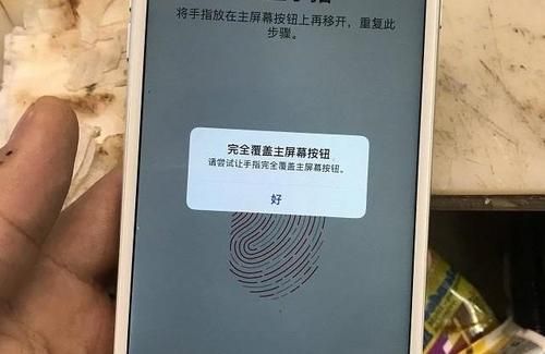 5s换屏幕指纹(为什么苹果5s换了屏指纹使用不了)-图3 5s换屏幕指纹(为什么苹果5s换了屏指纹使用不了)-图3