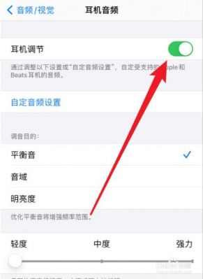 苹果5s扬声器不响了怎么调（苹果5s扬声器不响了怎么调整）