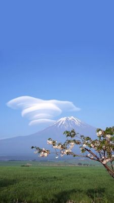 苹果5s手机自带壁纸(iphone5 自带壁纸)-图3 苹果5s手机自带壁纸(iphone5 自带壁纸)-图3