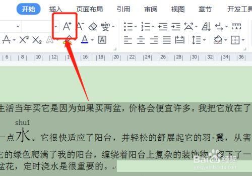 怎样字体变大快捷键(字体大小怎么调快捷键)-图3 怎样字体变大快捷键(字体大小怎么调快捷键)-图3