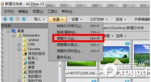 acdsee10批量裁剪（acdsee批量处理图片）