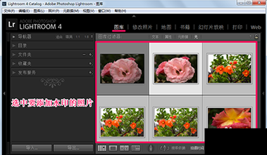 lightroom视频批量滤镜(lightroom如何批量添加水印)-图1 lightroom视频批量滤镜(lightroom如何批量添加水印)-图1