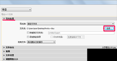lightroom视频批量滤镜(lightroom如何批量添加水印)-图2 lightroom视频批量滤镜(lightroom如何批量添加水印)-图2