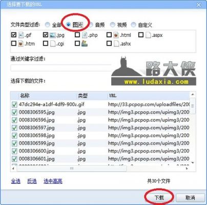 批量下载网页图片(批量下载网页图片软件)-图3 批量下载网页图片(批量下载网页图片软件)-图3