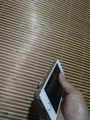日本s版5s(日版5s怎么样)-图3 日本s版5s(日版5s怎么样)-图3