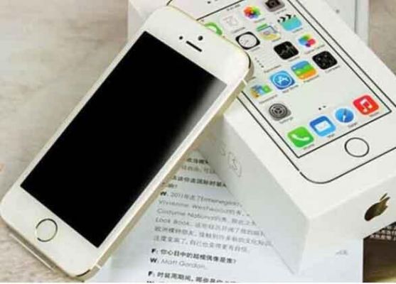 苹果5s买什么型号(苹果5s什么配置)-图3 苹果5s买什么型号(苹果5s什么配置)-图3