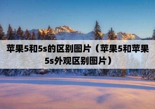 如何分辨苹果5和5s(如何判断苹果5和5s)-图3 如何分辨苹果5和5s(如何判断苹果5和5s)-图3