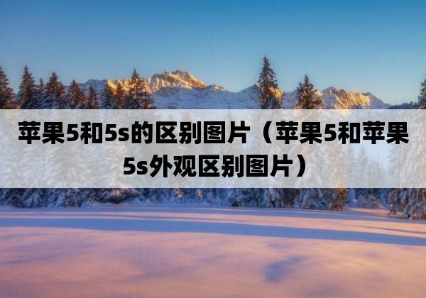 如何分辨苹果5和5s（如何判断苹果5和5s）-图3