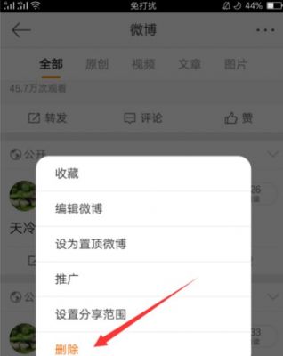 新浪微博批量删除软件(批量删微博app)-图1 新浪微博批量删除软件(批量删微博app)-图1