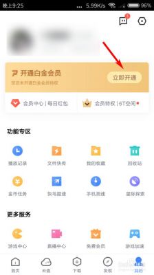 迅雷批量会员(迅雷批量会员怎么开)-图1 迅雷批量会员(迅雷批量会员怎么开)-图1